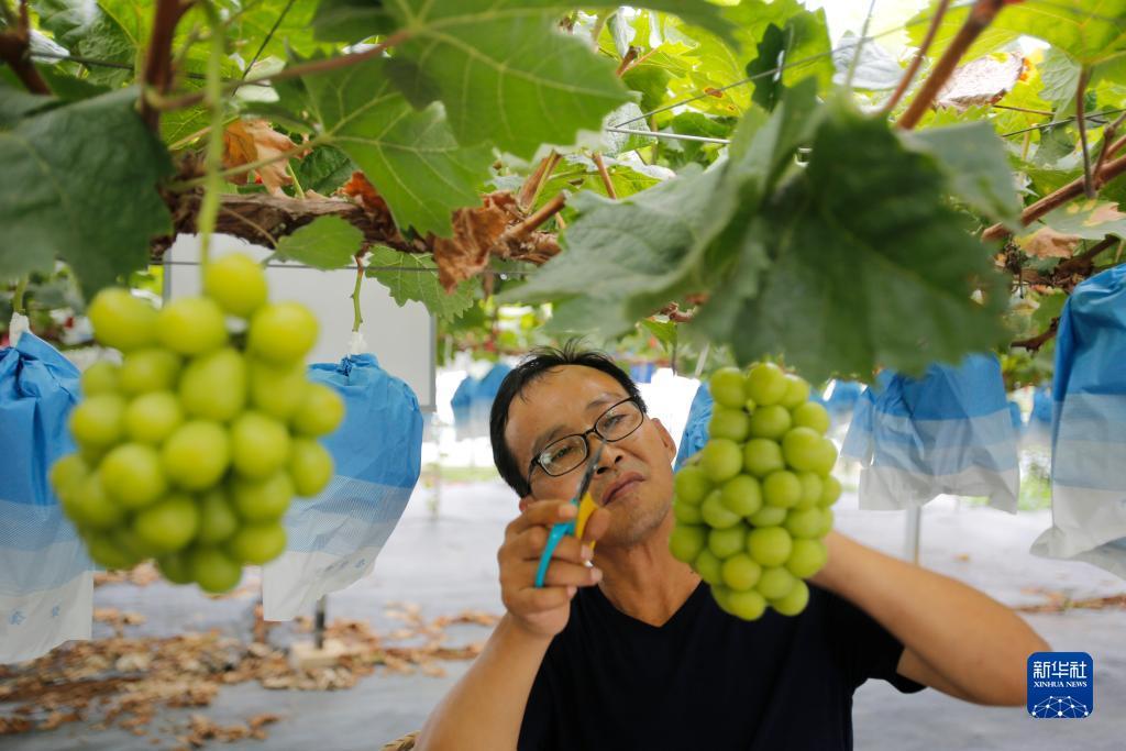 金沙快捷充值中心